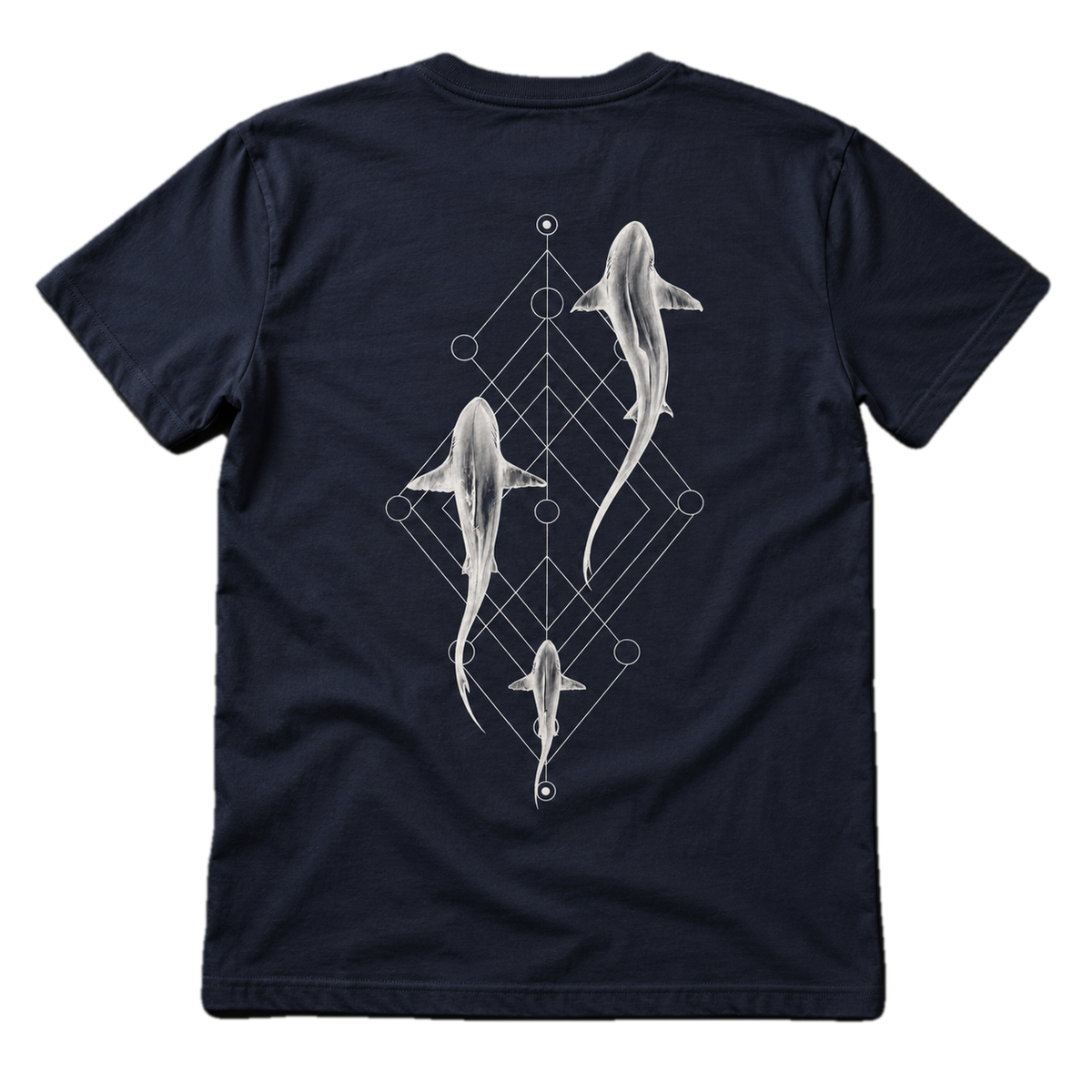 Reef Shark Trio Bundle – Shirt & Hoodie Set