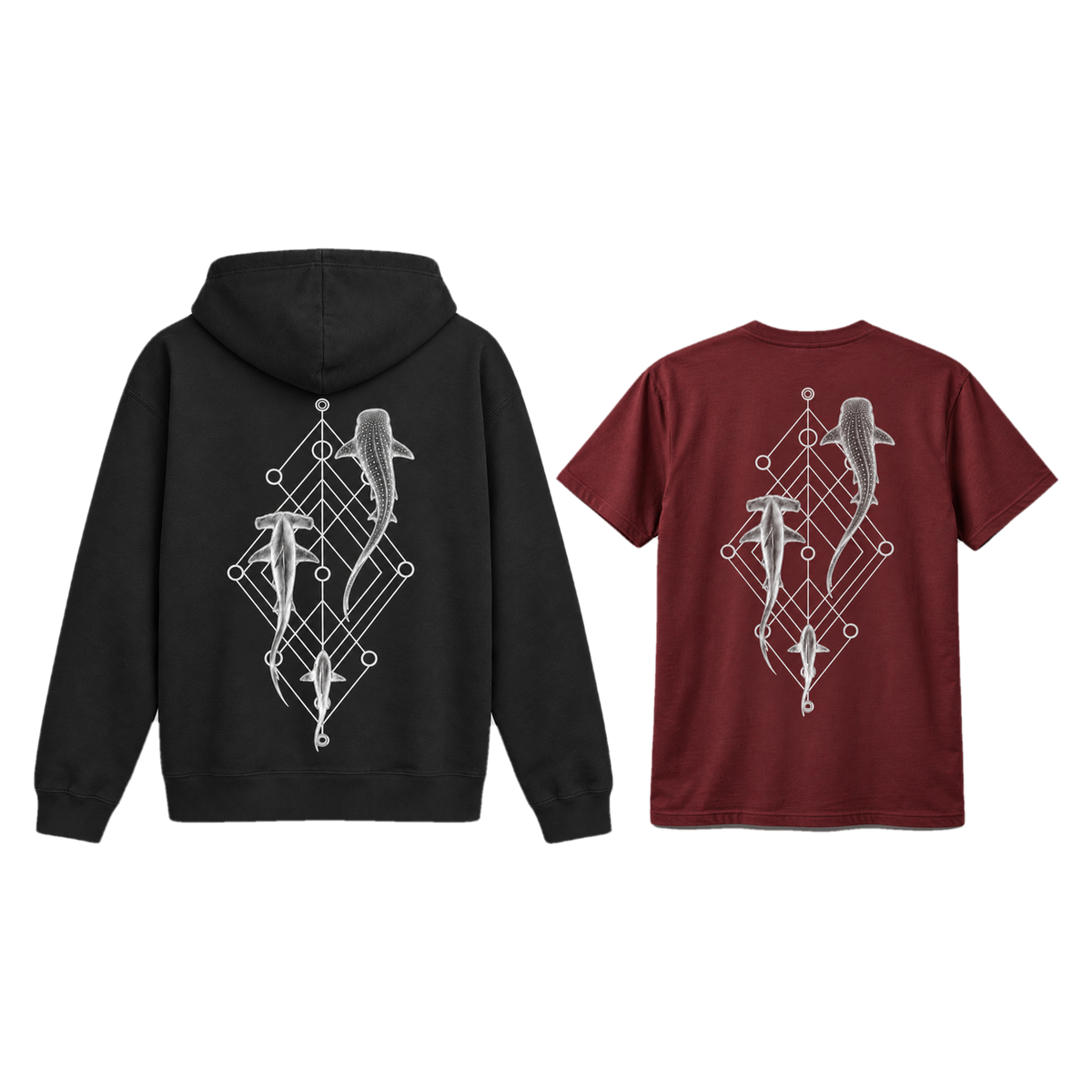 Shark Species Trio Bundle