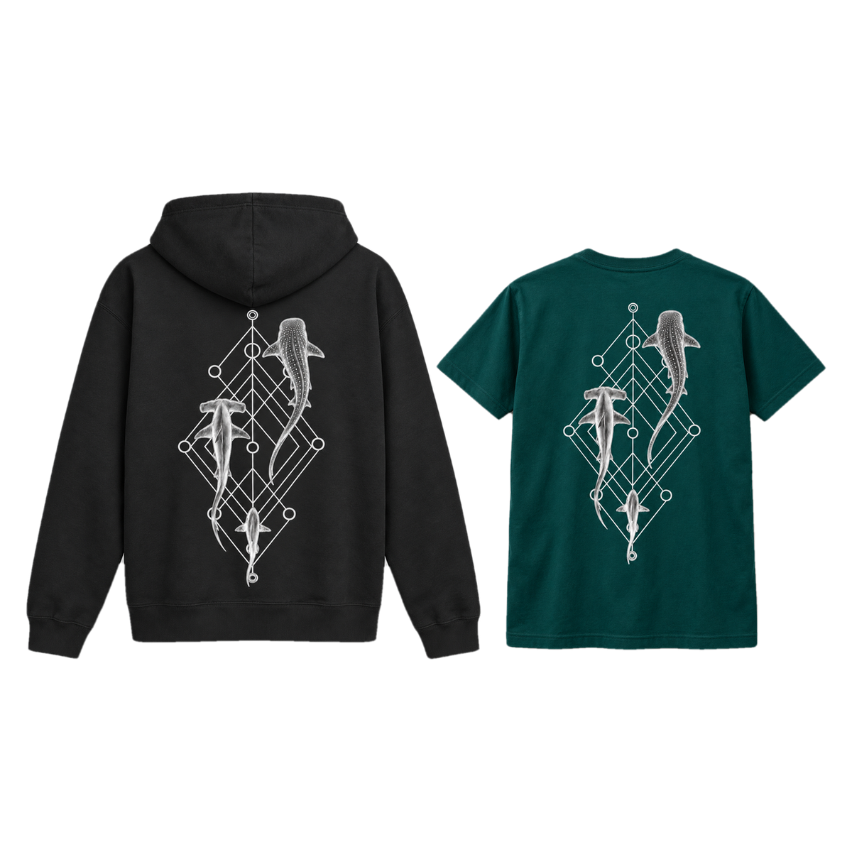 Shark Species Trio Bundle