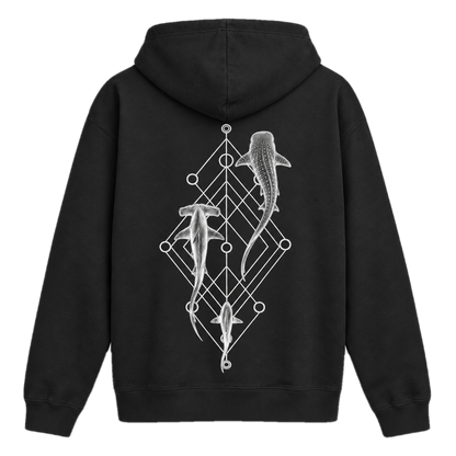 Shark Species Trio Hoodie