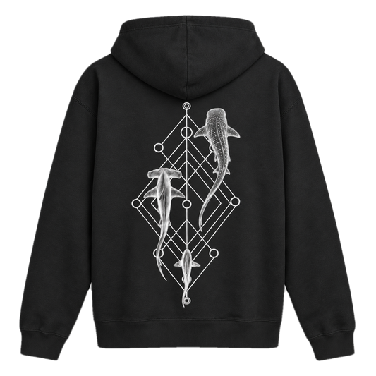 Shark Species Trio Hoodie