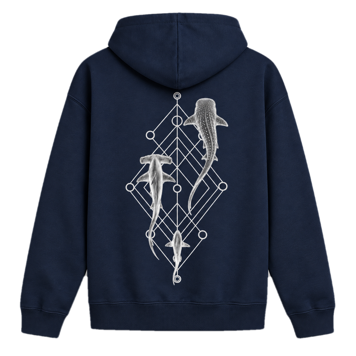 Shark Species Trio Hoodie