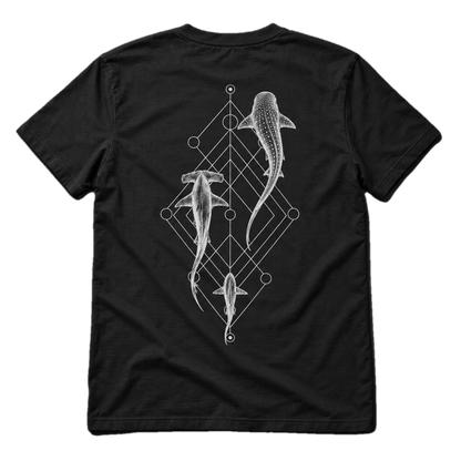 Shark Species Trio T-Shirt