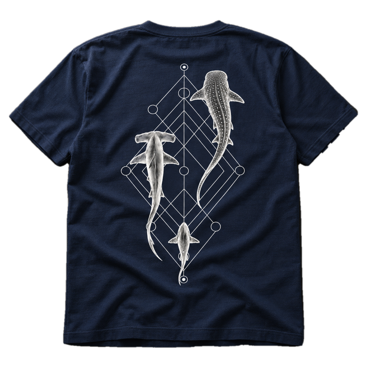 Shark Species Trio T-Shirt