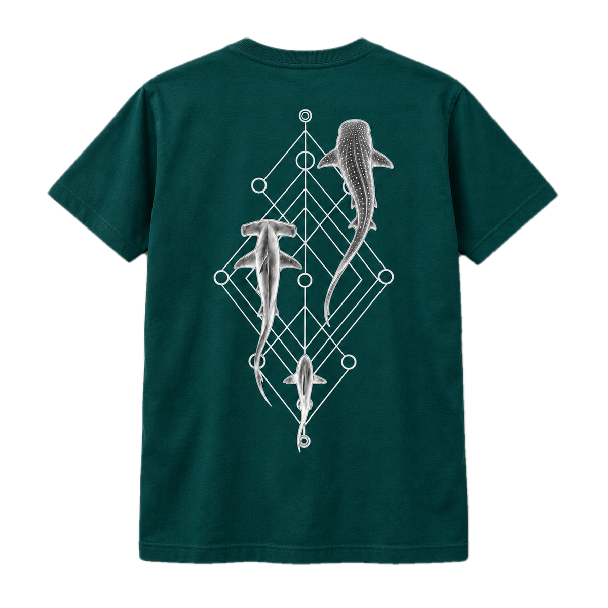 Shark Species Trio T-Shirt