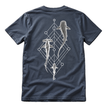 Shark Species Trio T-Shirt