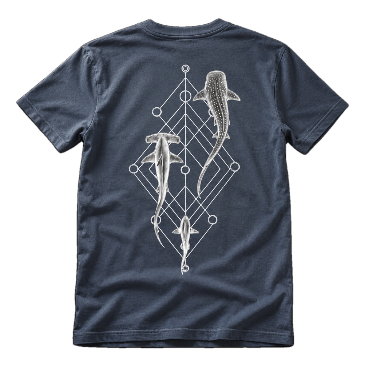 Shark Species Trio Bundle