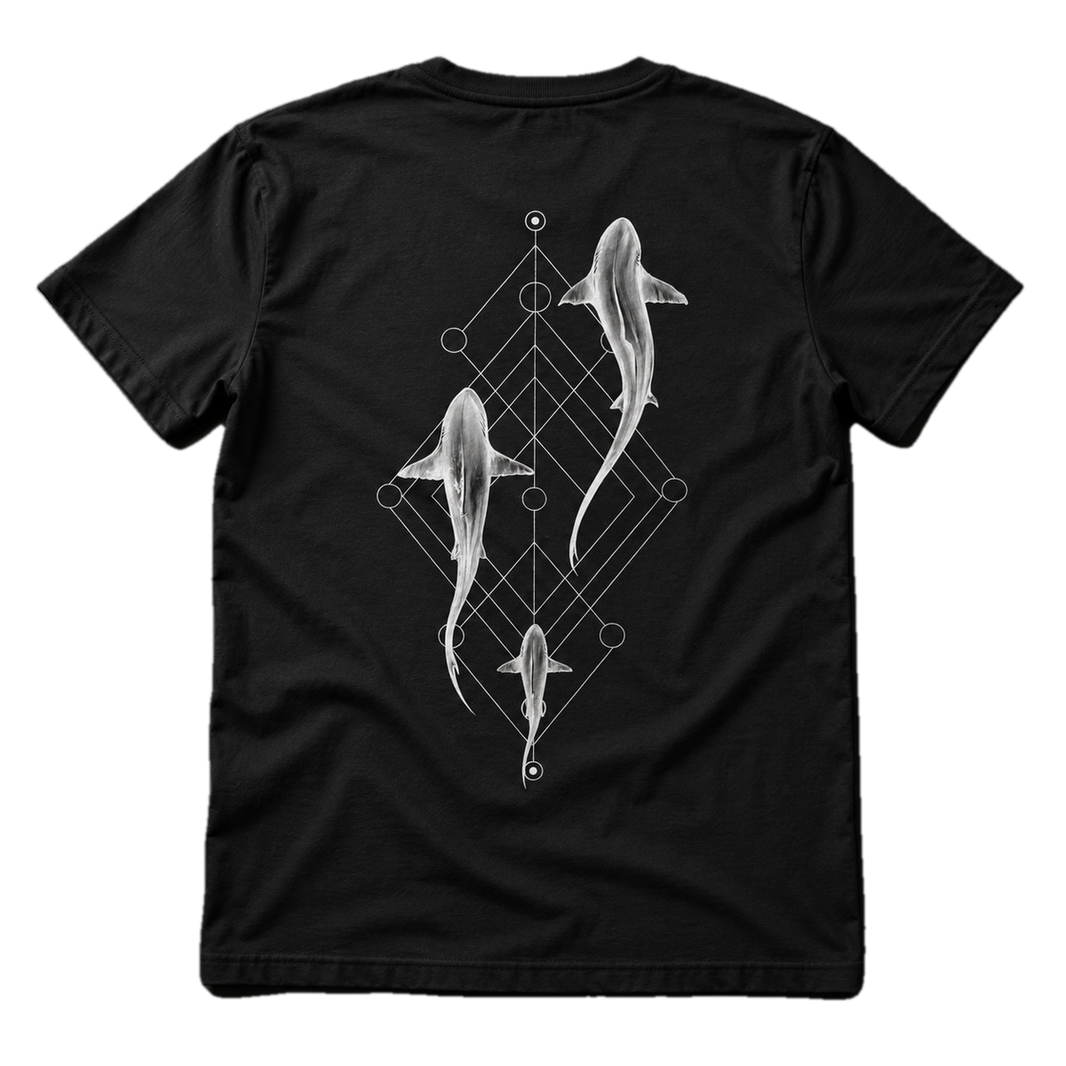 Shark Trio T-Shirt